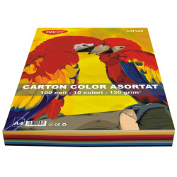 Carton color A4 100 coli 10...